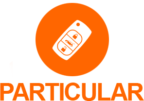 Particular